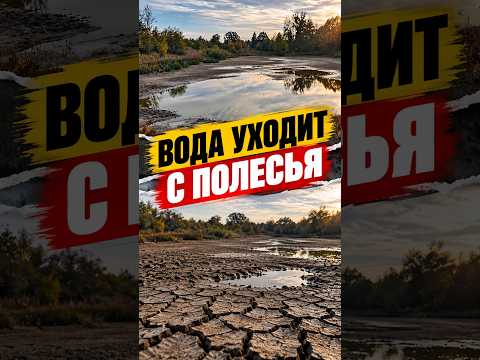 Вода ушла: вся правда о ситуации в Беларуси. Обмеление Припяти и Ясельды