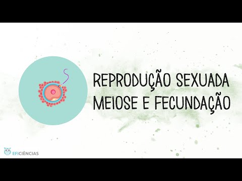 Reprodução sexuada - Meiose e Fecundação - Biologia e Geologia 11ºano