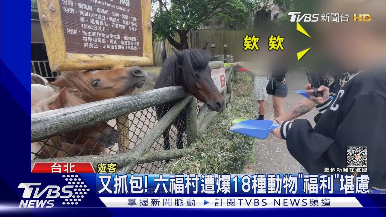 又抓包! 六福村遭爆18種動物「福利」堪慮