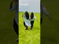 Tharali Raada Tane Vasantham ️ Love Viralvideo Viral Youtube Youtubeshorts Youtubeshorts