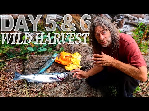 Greg Days 5 & 6 Rainforest Hike, Hidden Cove Fishing | 30 Day Survival Challenge: Vancouver Island