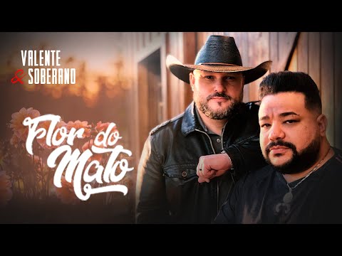 Flor Do Mato video