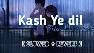 Kash Ye Dil Tuta Na Hota  Slowed+Reverb