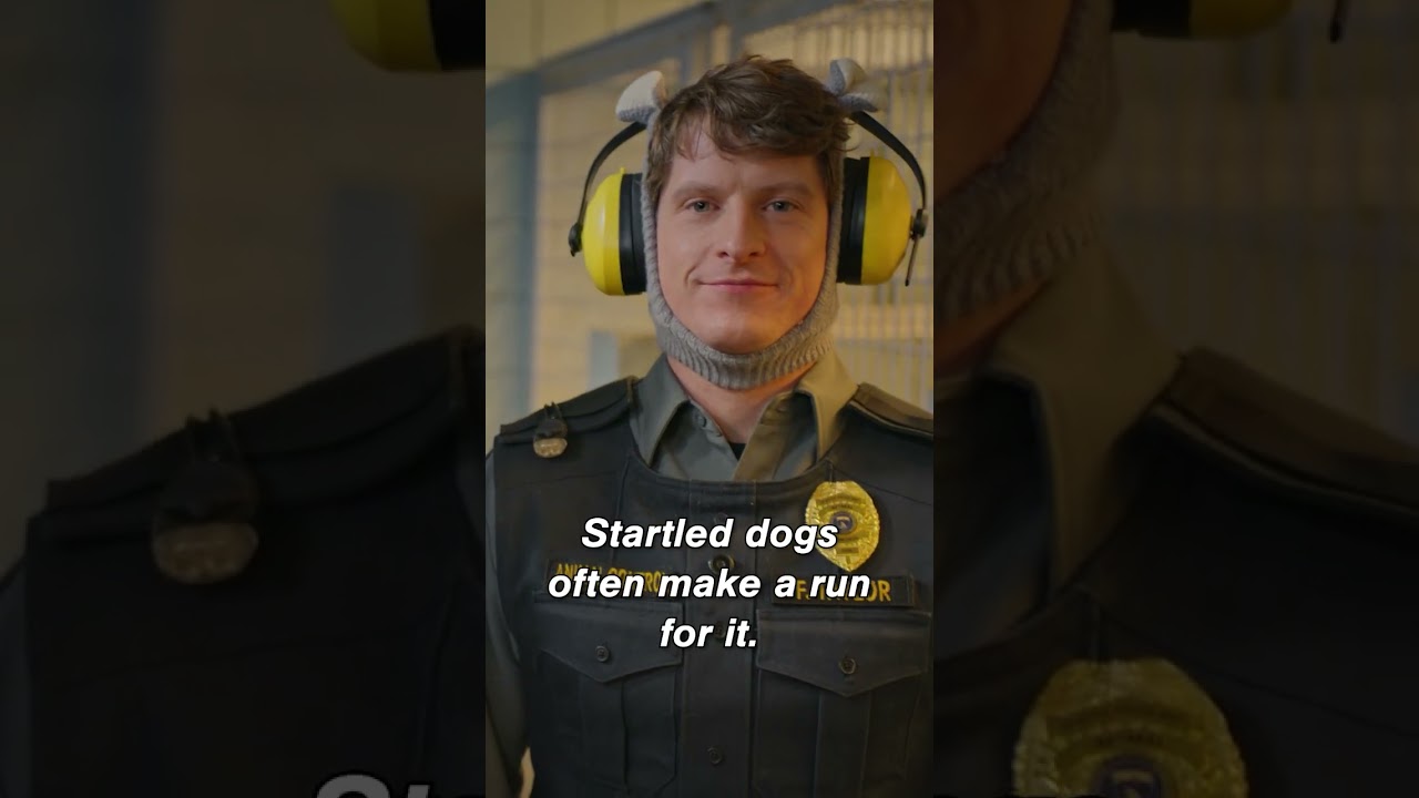 "we're not expecting you to stop firing off explosives, THIS is still america” 🇺🇸😉 #animalcontrol