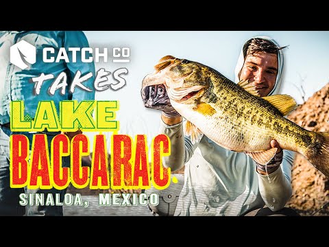 Catch Co. Takes Lake Baccarac | Conquering Mexico’s Best Bass Lake!