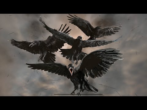 Nawaj Ansari - LA KATTI feat You [Open Verse Challenge]