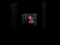 Sesame Street Episode 2326 Ending