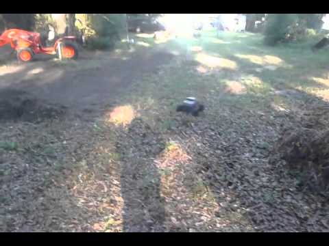 HIGH JUMPING the savage .25 in Satsuma