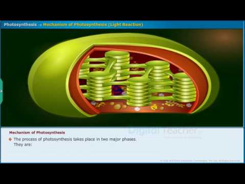 download lagu mp3 mp4 Dark Phase, download lagu Dark Phase gratis, unduh video klip Dark Phase