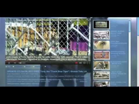 cloversweed - Remembering Me