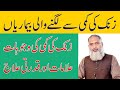 Zinc Ki Kami Se Lagne Wali Bimariyan Zinc Ki Kami Ka Ilaj