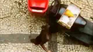 Comportamento Geral - O CLIP