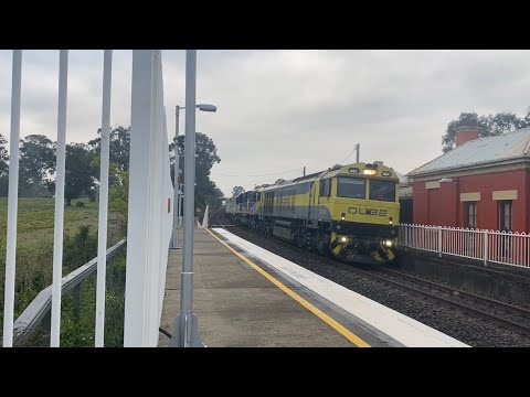 QBX004, CM3313 and 44202 - Menangle - 19th September 2020
