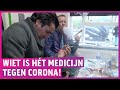 Cannabis helpt tegen besmetting; Slijptol aan de joint!