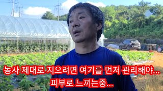 농사 제대로 지으려면? ??를 잘 관리해야? 피부로 느끼는중...