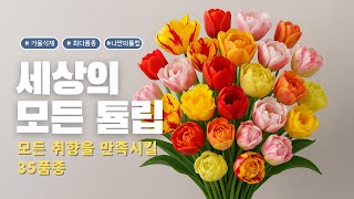 국내 최다품종 확보! 여러분이 원하는 튤립은 모두 모아놨습니다 ^^ 가을에 식재해 봄에 만개하는 신품종 튤립…