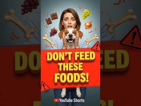 “Stop Feeding Your Dog These 4 Foods ❌ (Could Be Deadly)”