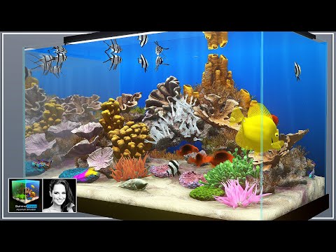 Trailer de Behind Glass Aquarium Simulator