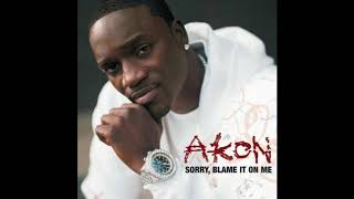 Akon - Sorry, Blame It on Me (Audio)