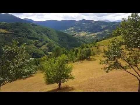 Plav Meteh 18.08.2015