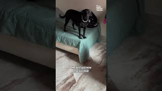 Miniature vidéo