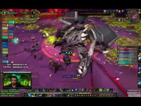 [WoW] [Raid-HM] Nythendra HM