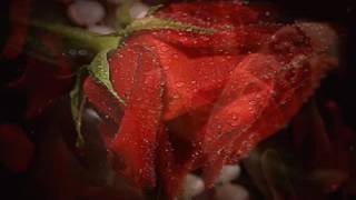 VAMOS A AMARNOS DESPACIO         EMMANUEL