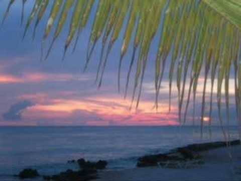 Mr Vegas Ft Jovi Rockwell ~ You gonna Need me ~