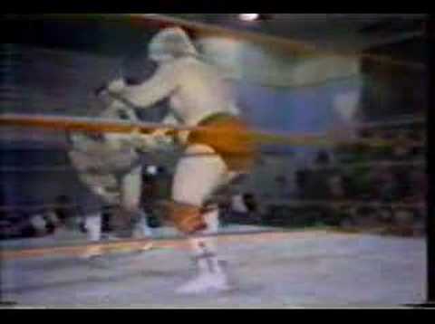 Playboy Buddy Rose Promo