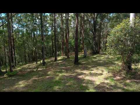 1806 Gold Coast Springbrook Road, Springbrook, QLD 4213, 0 ਕਮਰੇ, 0 ਬਾਥਰੂਮ, Section