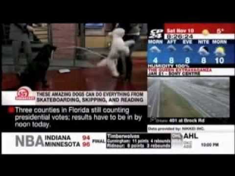 Ultimutts - CP24 November 10 2012