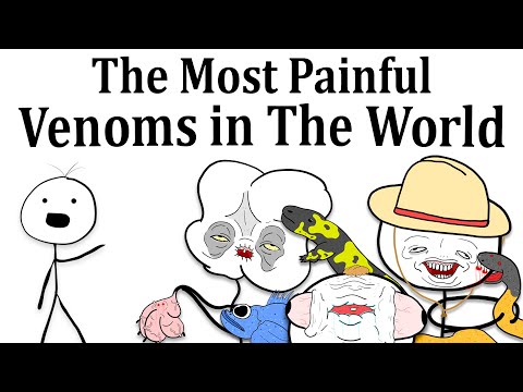 The Most Painful Venoms in The World
