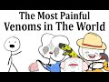 The Most Painful Venoms in The World