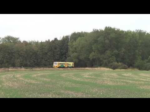 ČD 814 136 Os 5357 Pardubice-závodiště - Staré Jesenčany 28.9.2016