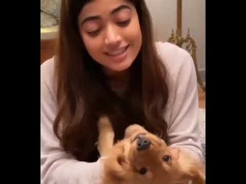 #Rashmika mandana cute moments with her pet 🐕