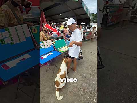 The dog hugged the woman's leg 😱🐕#dog