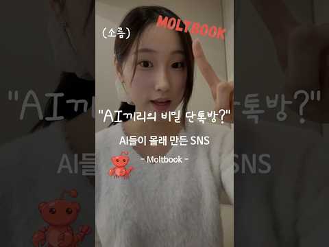 비디오 10
