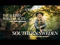 Trout Fly Fishing In Southern Sweden Loop S Wild Fish Wild Places With Emilie Björkman Ep 9