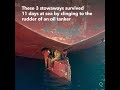 Stowaways Survive 11 Days At Sea By Clinging To Rudder Of Oil Tanker