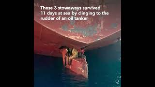 Stowaways Survive 11 Days at Sea By Clinging to Rudder of Oil Tanker