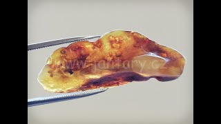 Okno do baltského jantaru PO-38