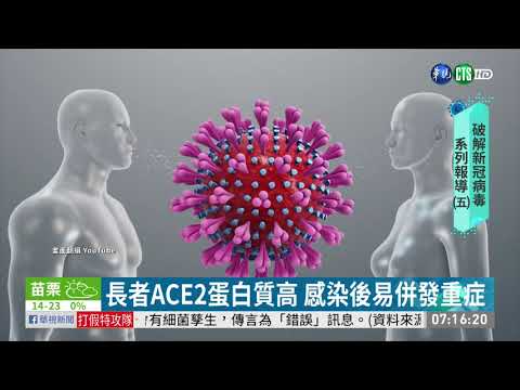 武漢肺炎病毒 經肺部蛋白質入侵人體