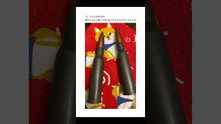【2ちゃんねる】本物のライフル買ってきたwww【アフレコ】