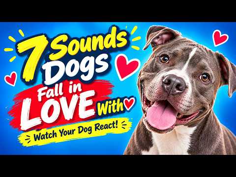 7 Sounds Dogs Fall in LOVE With ❤️🐶 Watch Your Dog React!