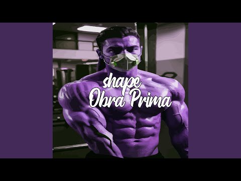 Shape Obra Prima