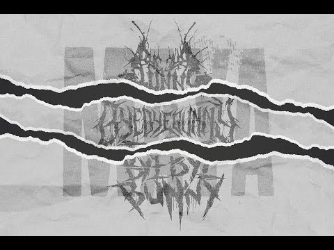 BYEBYE BUNNY - MAYA (Official Lyric Video)