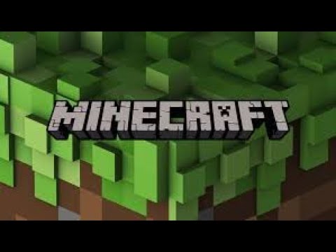 Se prendi danno finisce il video [Minecraft]