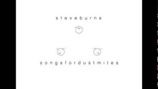 Steve Burns - Superstrings