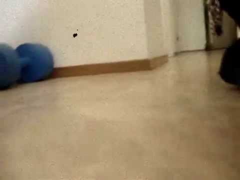 Maiju chasing camera