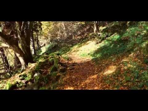 Hor Hazreti Hamza - Dođi dođi